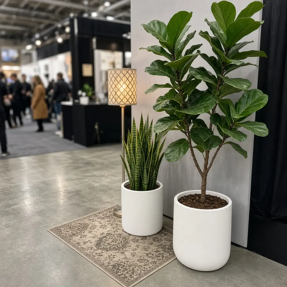 Plants and decorative furniture accessories