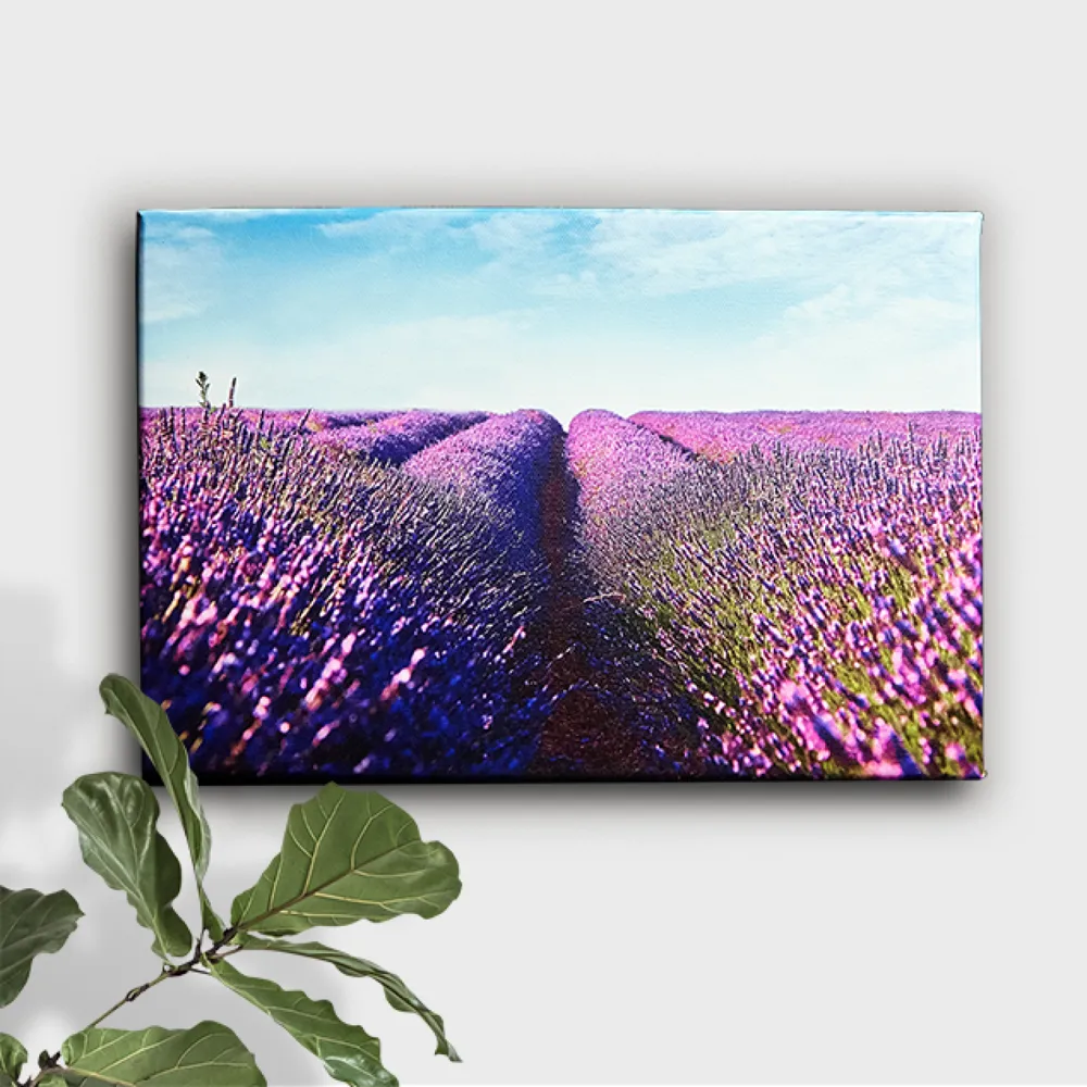 Canvas Wrap Wall Art